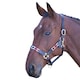 image 2 of Blenheim Leather Polo Horse Headcollar - Turquoise/Red/Orange/Blue - Cob
