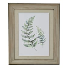 Hill Interiors Fern Duo Wood Framed Art Print - White/Green/Brown - 60cm x 5cm x 50cm | White