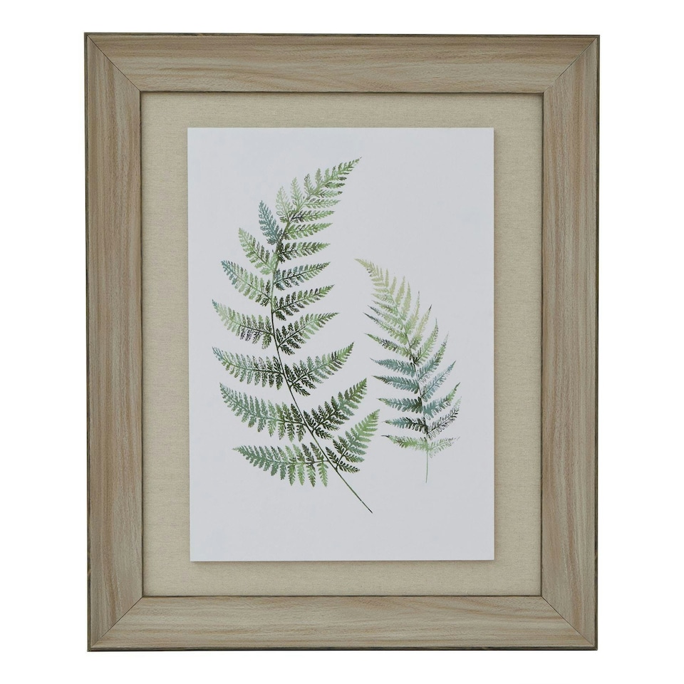 Hill Interiors Fern Duo Wood Framed Art Print - White/Green/Brown - 60cm x 5cm x 50cm | White