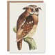 image 1 of Theo van Hoytema Art Card Eagle Owl Perched on a Branch