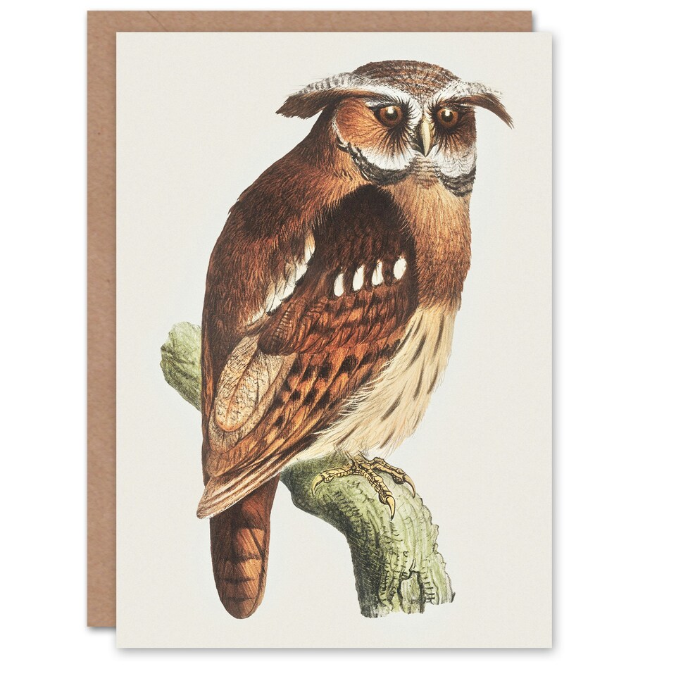 image 1 of Theo van Hoytema Art Card Eagle Owl Perched on a Branch