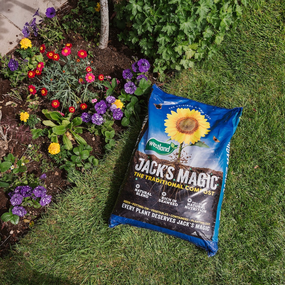 image 1 of Westland Jack's Magic All-Purpose Compost 50L