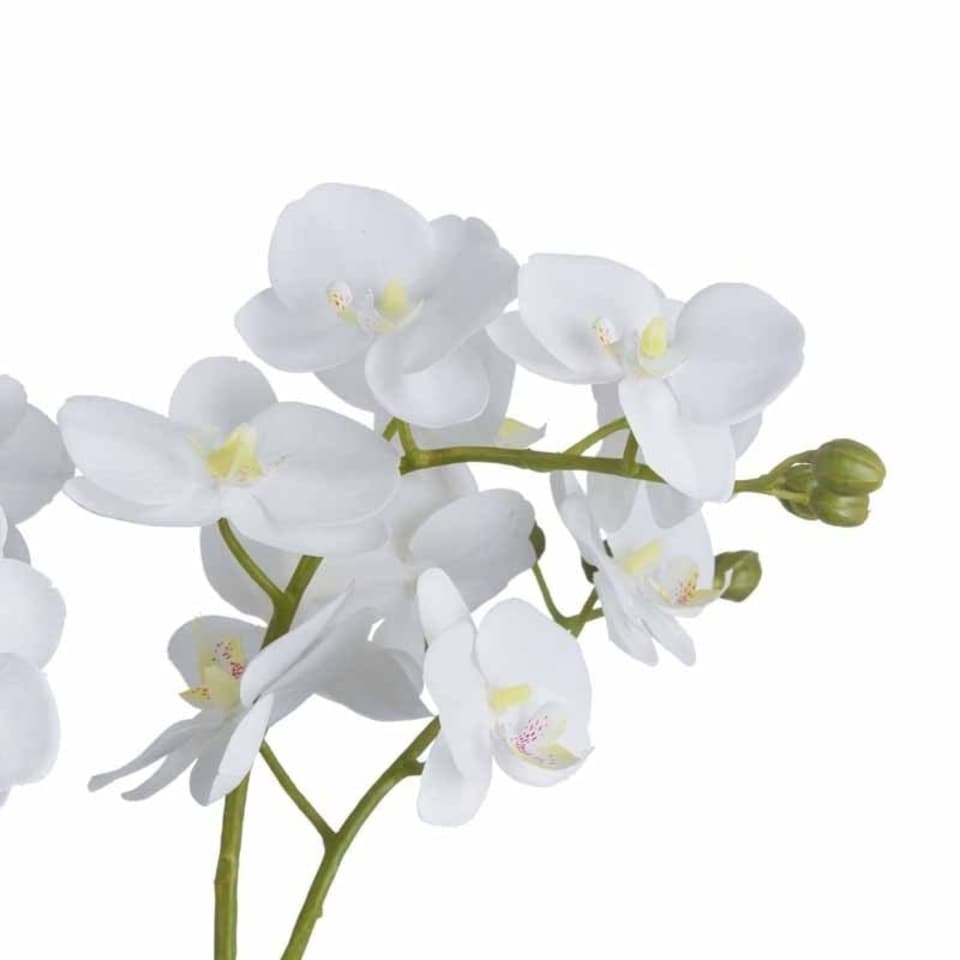 image 1 of Orchid in Glass Pot Artificial Flower - Plastic - L21 x W21 x H61 cm - White