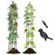 image 1 of COSTWAY 197 cm Tall Metal Obelisk Trellis 2-Pack Garden Trellis