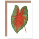 image 1 of Leaf Caladium Bicolor Spendens Art Blank Just to Say Card