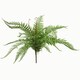 image 1 of Fern Plant Artificial 60cm Artificial Bushy Dixie Wood