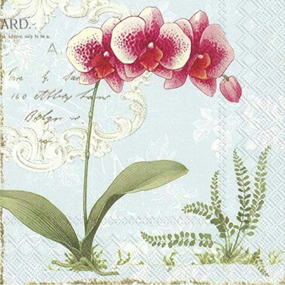 IHR Lunch Napkins L'Orchie Light Blue 33cm 3ply 20 Pack