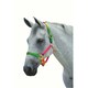 image 2 of Roma Rainbow Headcollar - Rainbow - Pony
