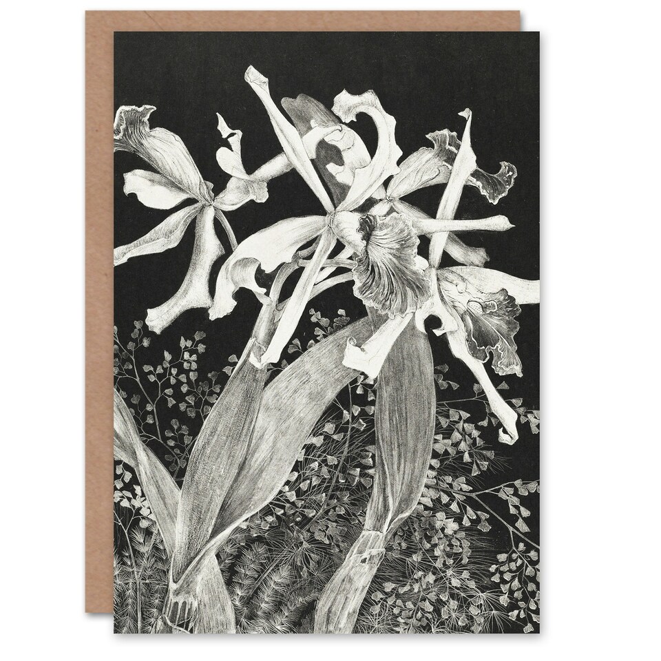 image 1 of Theo van Hoytema Art Card Orchids Black and White Floral