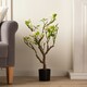 image 3 of 70Cm Tabletop Real Touch Magnolia Tree Cream