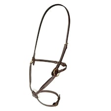 Salisbury Brackley Leather Horse Noseband - Australian Nut - Cob