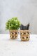 image 1 of KitchenCraft Water Hyacinth Planters, Set of 2, Striped Design
