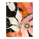 image 3 of Abstract Pink Orange Flowers Floral Boho Black Framed Wall Art Print A4