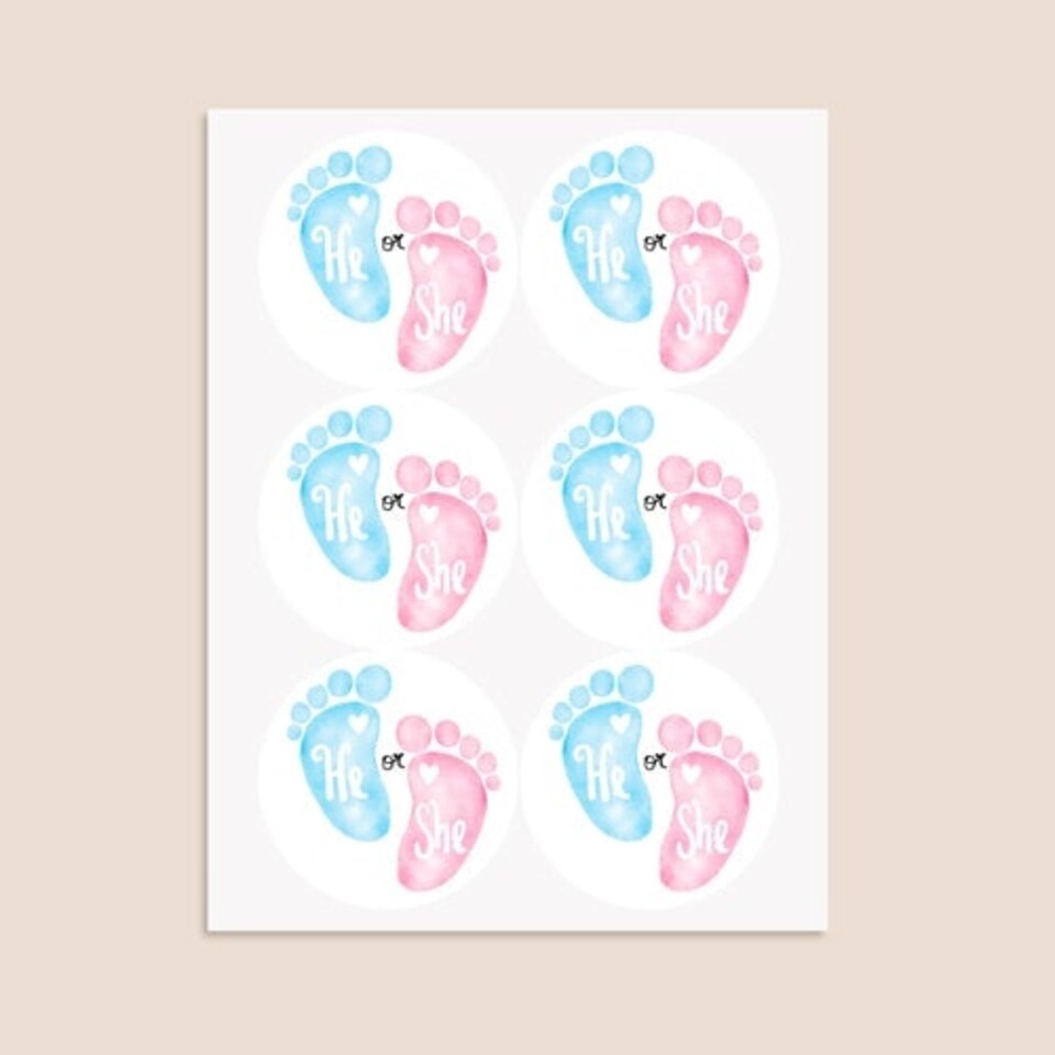 image 1 of He or She Gender Reveal Round Stickers 88mm - Sheet of 6
