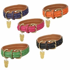 Shires Digby & Fox Padded Leather Dog Collar Blue | Size: X-Large
Colour: Royal Blue
