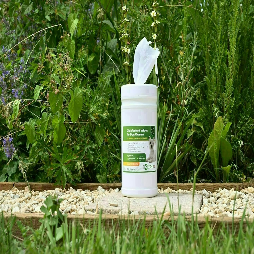 image 1 of Aqueos Dog Wipes Antibacterial 200 Wipes