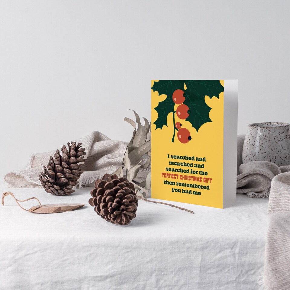 image 1 of I Searched For The Perfect Gift Funny Cheeky Blank For Him Or Her Art Christmas Card