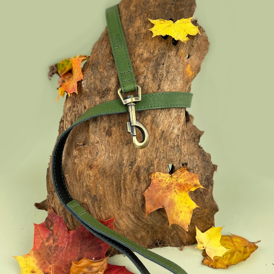image 1 of HugglePets Legacy Leather Dog Lead Green | Khaki