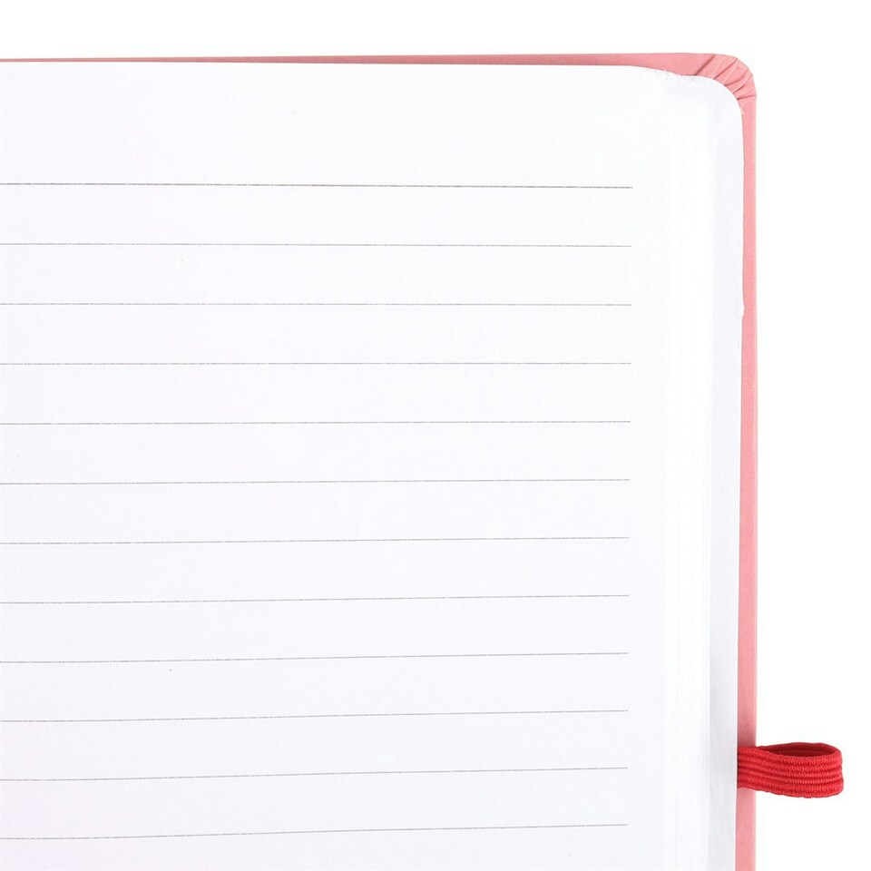 image 1 of Something Different Gratitude The Sun Rose Quartz Diary And Pen Set - Pink/Orange - One Size