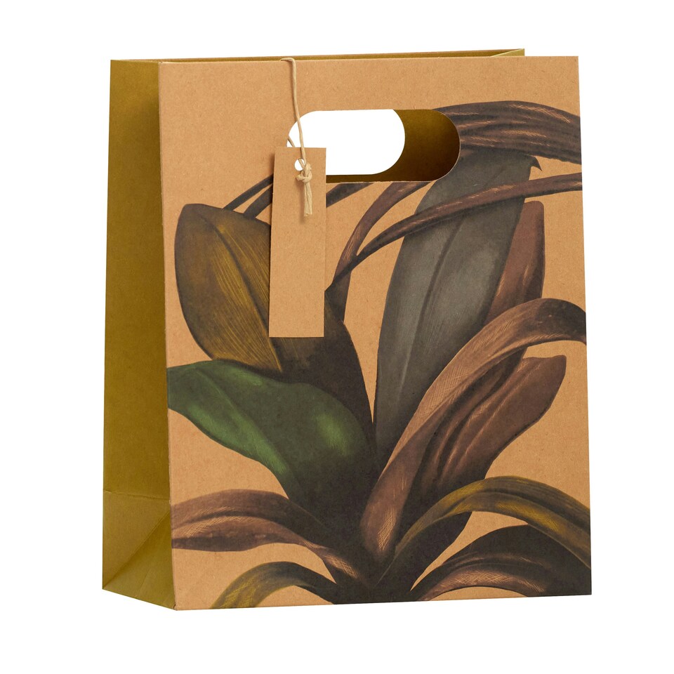 image 1 of Botanical Medium Gift Bag - Pack of 3