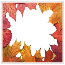 Red autumn border (Picture Frame) White | S