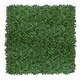 image 1 of True Products Premium Artificial Living Wall Green Plant Panel 1m x 1m Boxwood