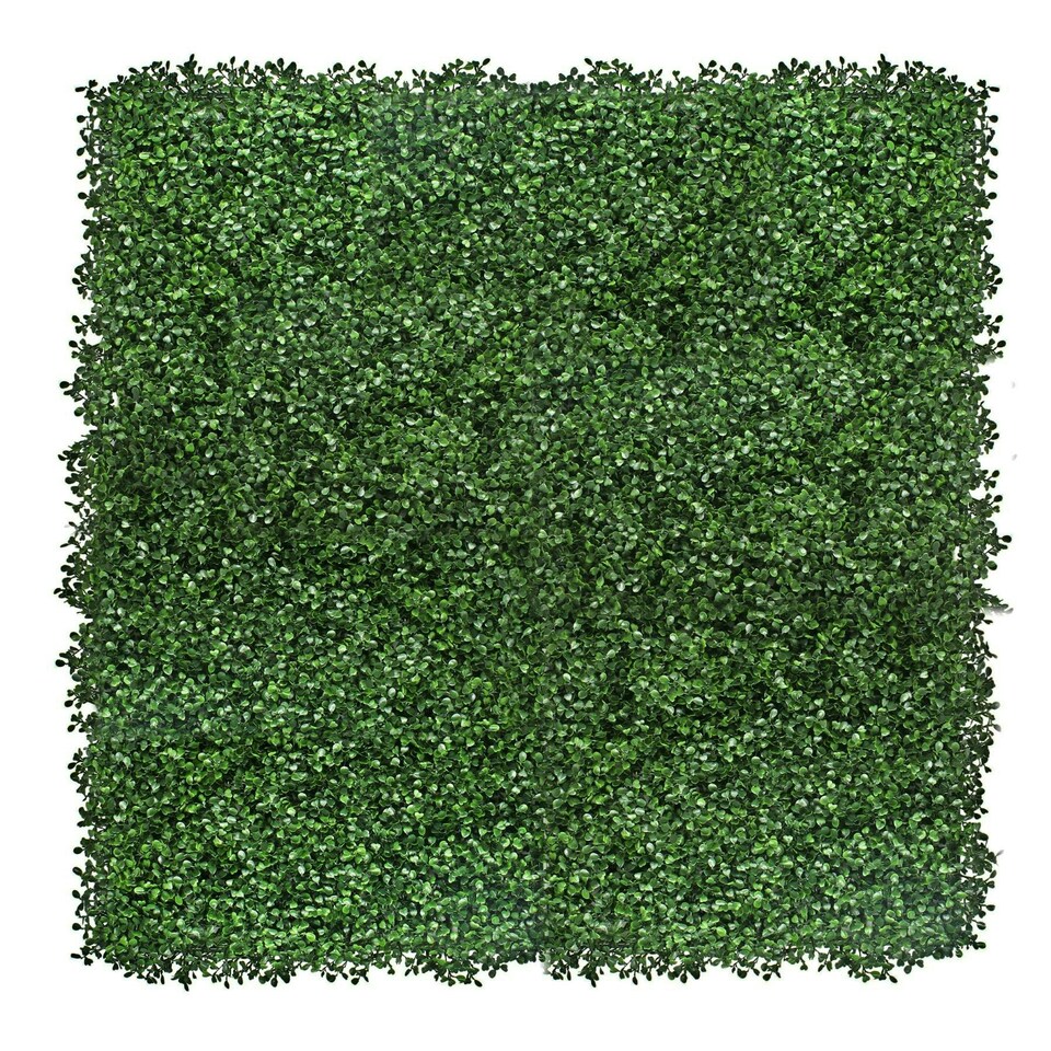 image 1 of True Products Premium Artificial Living Wall Green Plant Panel 1m x 1m Boxwood