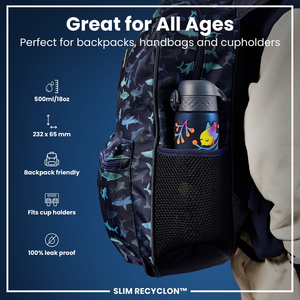 image 1 of Leak Proof Slim Water Bottle, BPA Free, 500ml (18oz) | Blue | Birds | One Size