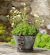 image 2 of Antique Bronze Coloured Boa Constrictor Pot Buddy Plant Pot Hanger | Bronze