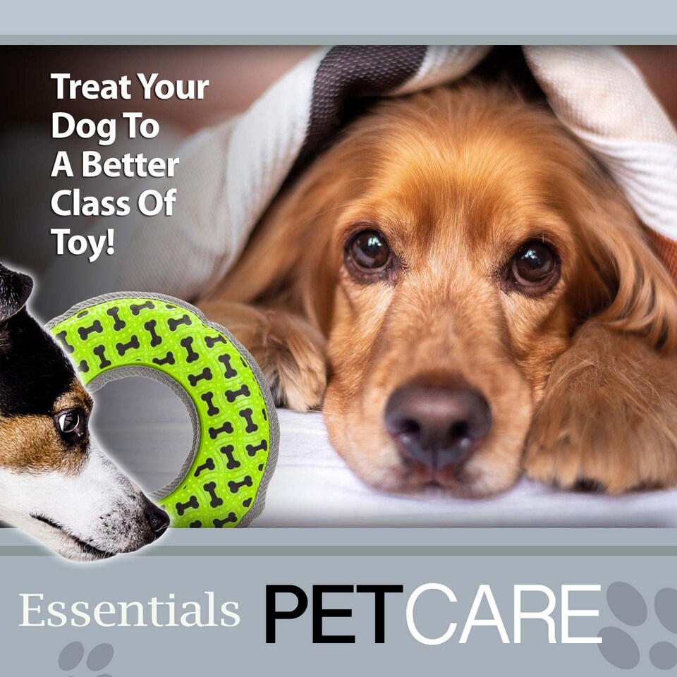 image 1 of Crufts Tough Ring Dog Toy with Squeaker, Durable Chew-Resistant Fetch Toy