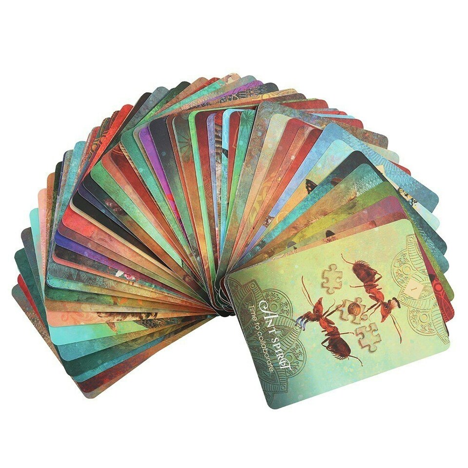 image 1 of Colette Baron-Reid The Spirit Animal Oracle Cards - Multicoloured - One Size