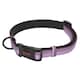 image 1 of Halti Comfort Dog Collar - Purple - L - Neckline: 45cm-66cm
