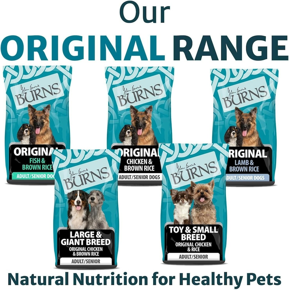 image 1 of Burns Original Fish & Brown Rice Hypoallergenic Adult & Senior Dry Dog Food - 6 kg