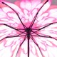 image 2 of Everyday Folding Umbrella Automatic Opening Reverse Daisy Multi