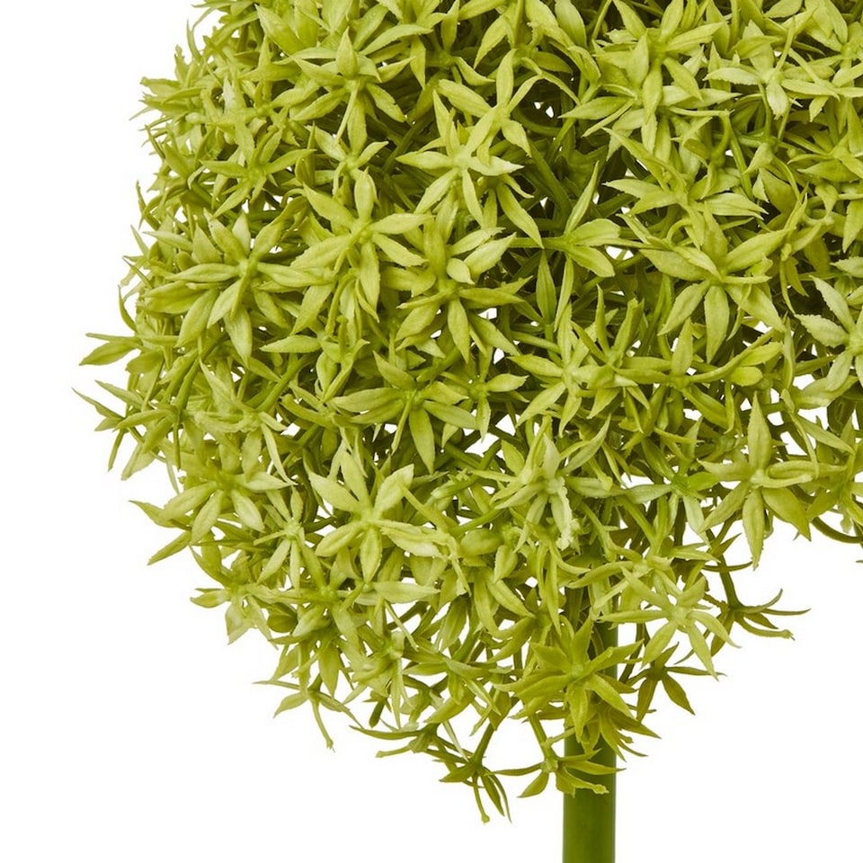 image 1 of Giant Allium (Single Stem Flower) - Plastic - L21 x W21 x H90 cm - Green