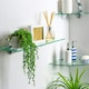 image 5 of Harbour Housewares Floating Glass Shelves - Clear - 50cm - 6 Pack - Wall Storage Clear