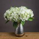 image 1 of Lace Cap Hydrangea Artificial Plant - Fabric/Plastic - L25 x W25 x H48 cm - White