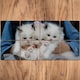 image 1 of Personalised Printed Set of 8 MDF Photo Former Coasters for Friend
