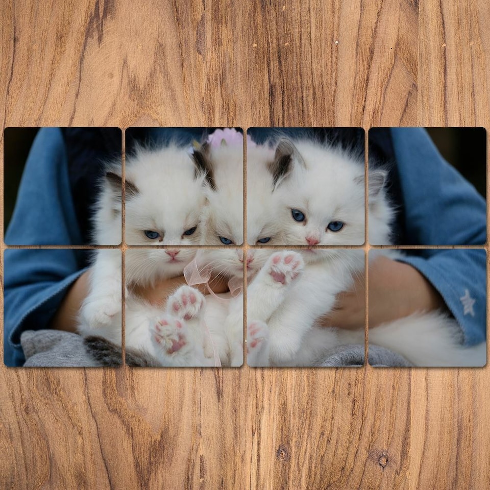 image 1 of Personalised Printed Set of 8 MDF Photo Former Coasters for Friend