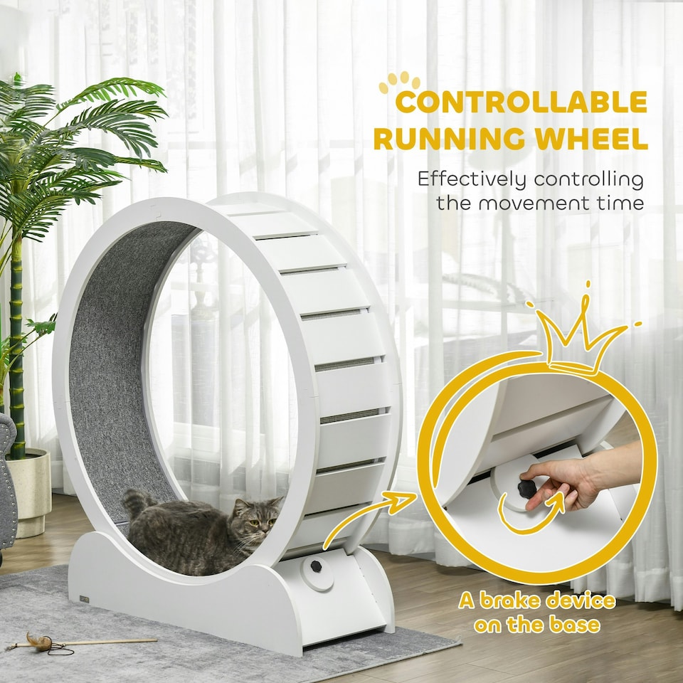 image 1 of PawHut Cat Exercise Wheel, 39.4 inch Running Treadmill with Brake, White