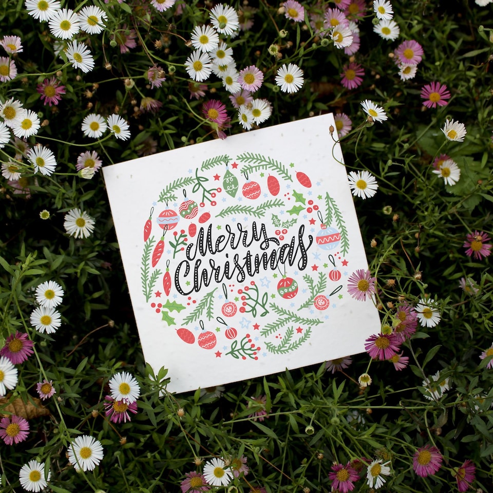 image 1 of Festive Foliage - Plantable Wildflower Seed Christmas Cards - 10 Pack