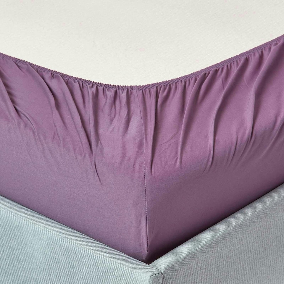 image 1 of Homescapes Grape Egyptian Cotton Fitted Sheet 200 TC, King | Purple | King