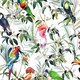 image 2 of Transform Peel & Stick Tropical Floral & Parrot Multicoloured Self-Adhesive Wallpaper Multi | Multi