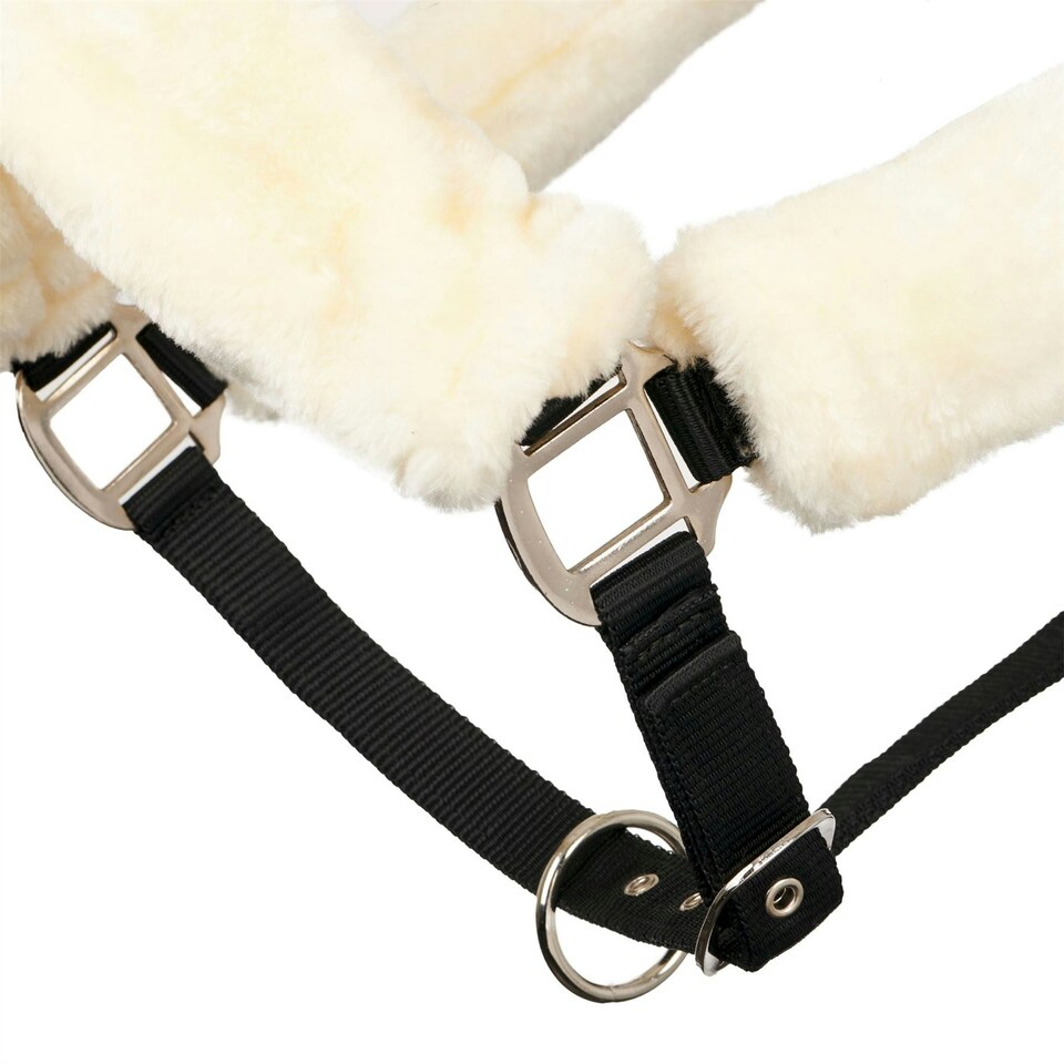 image 1 of LeMieux Comfort Headcollar Blue | X-Full