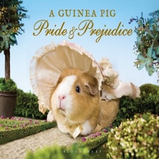 Gpc Guinea Pig Pride Prejudice
