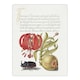 image 1 of Turks Cap Lily Fig and Beetle Calligraphy Huge Wall Art Poster Print 24X32"