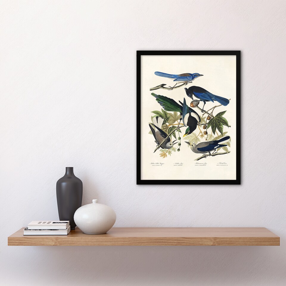 image 1 of Magpie Clarks Crow and Jays Audubon Nature Framed Wall Art Print 12X16"