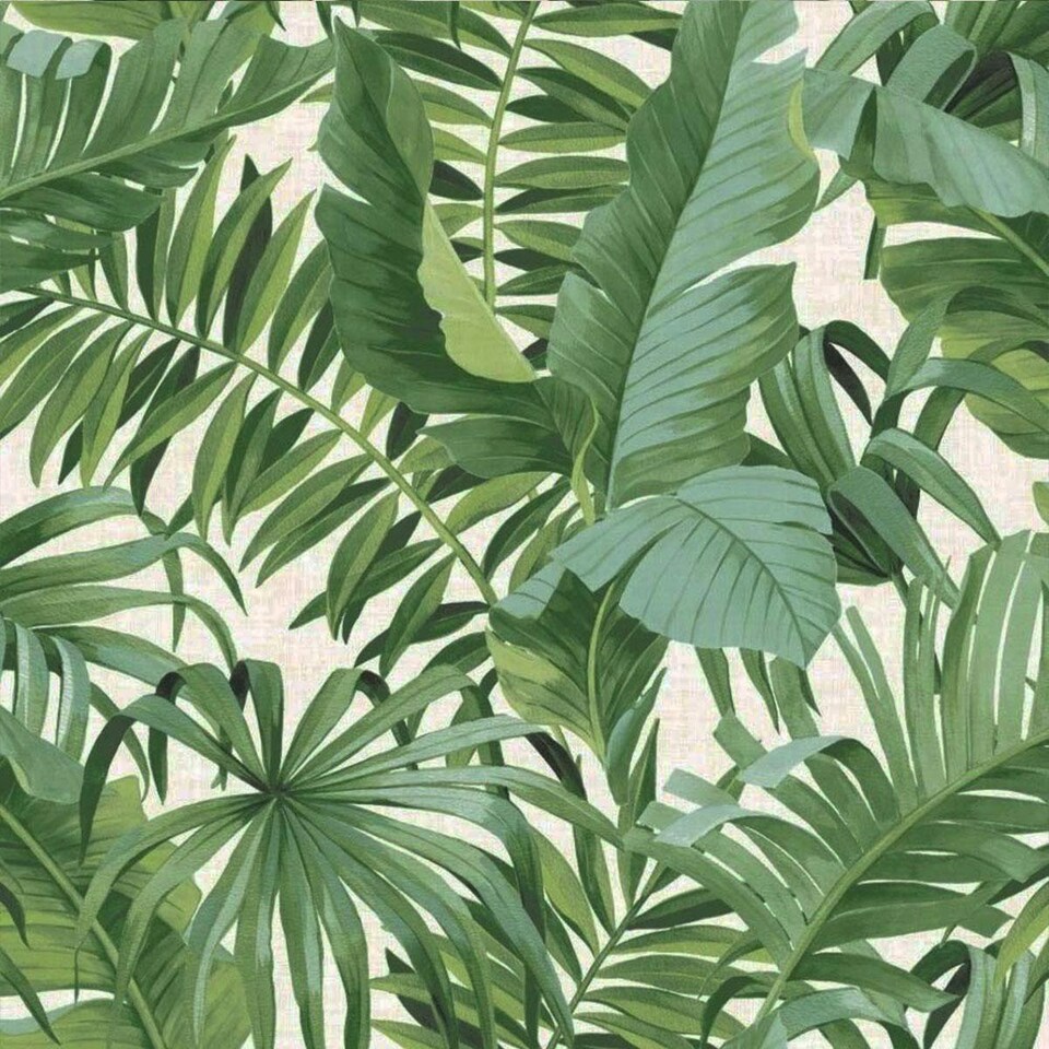 image 1 of Fine Decor A-Street Palm Leaf Wallpaper - Green/Cream - 32.1ft x 21in Green