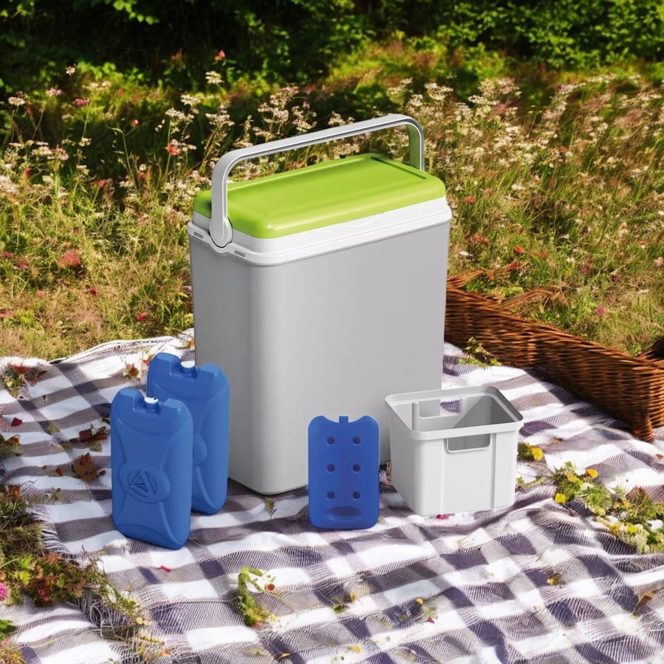 image 1 of 29L Large Insulated Cooler Box With Ice Packs | Grey | 1