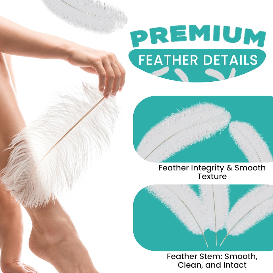image 1 of 50cm - 60cm Large Ostrich Feathers, Showgirl Spadones - 10pcs